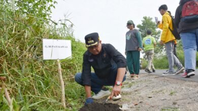 Pj Bupati Kapuas Dorong Penghijauan Melalui Penanaman Pohon di Jalan Trans Kalimantan