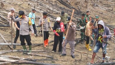 Pj Bupati Murung Raya Dukung Gerakan Penanaman Padi Gogo di Desa Muara Jaan