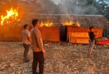 Operasi Besar-besaran TNI-Polri: Barak Sarang Narkoba Dibakar, 47 Orang Ditangkap