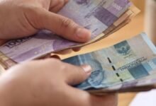 UMK Barito Utara 2025 Naik 6,5%, Sektor Perkebunan Kelapa Sawit dan Pertambangan Dapat Penyesuaian Khusus
