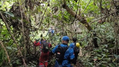 Hilang di Kebun Sawit Barito Utara, Pencarian  Nenek 79 Tahun Dihentikan