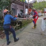 Makan Ternak Warga Panti Ajar Barito Utara, Ular Piton 3 Meter Ditangkap