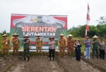 Muhlis Dorong Inovasi untuk Mewujudkan Swasembada Pangan Jagung di Barito Utara