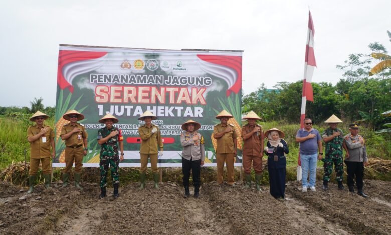 Muhlis Dorong Inovasi untuk Mewujudkan Swasembada Pangan Jagung di Barito Utara