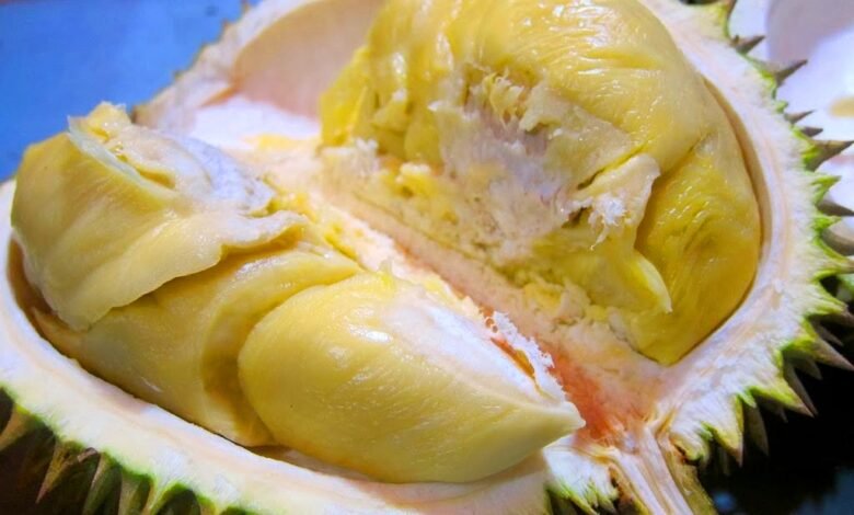 Ini Fakta yang Perlu Anda Ketahui Setelah Makan Durian