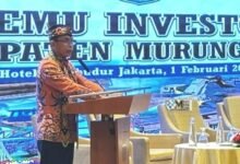 Dukungan Pihak Swasta Penting untuk Pembangunan Daerah di Murung Raya
