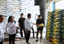 Muhlis: Stok Beras Cukup, Harap Bulog juga Siapkan Daging dan Minyak Goreng