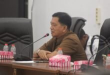 Polemik Status Honorer Barito Utara, Dewan Ini Berikan Tanggapan Positif