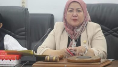 Waket II DPRD Komitmen Kawal Aspirasi Honorer Barito Utara