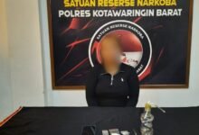Wanita Pengedar Sabu di Kobar Ditangkap, Ini Barang Bukti yang Disita
