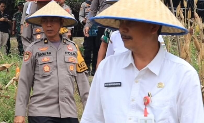 Dukung Perekonomian Petani, Polres Barito Utara Laksanakan Panen Raya Jagung