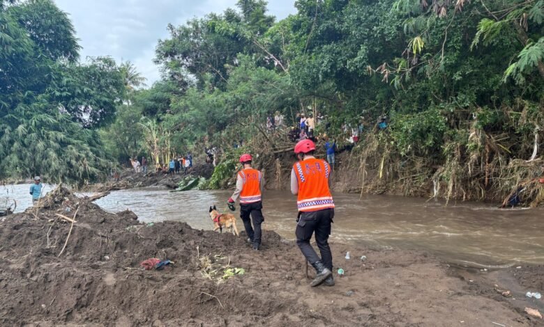 Hari ke-3, Tim SAR Kerahkan Alat Berat dan Anjing Pelacak dalam Pencarian Korban Banjir 