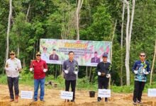 Apresiasi Program Penanaman Cabai untuk Kemandirian Pangan