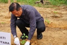 Pemkab Barito Utara Dorong Kemandirian Pangan Lewat Budidaya Cabai dan Komoditas Lokal