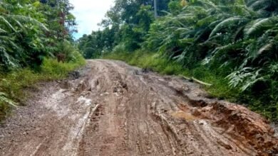 Kondisi Jalan Menuju Desa Mampuak Memburuk, PUPR Barito Utara Turun Tangan