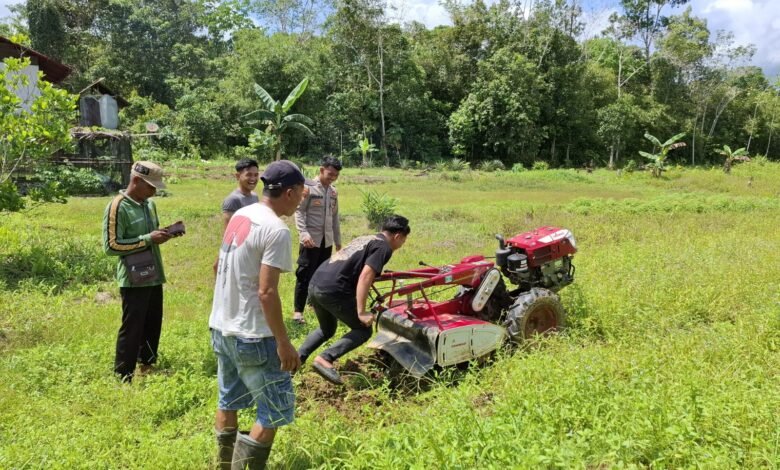 Sinergi Polsek Kahut dan PPL Pertanian: Lahan Tidur Disulap Jadi Kebun Jagung Produktif