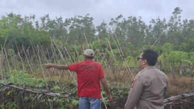 Polsek Sepang Dorong Ketahanan Pangan Keluarga, Manfaatkan Pekarangan Menjadi Lahan Produktif