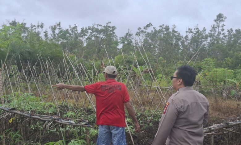 Polsek Sepang Dorong Ketahanan Pangan Keluarga, Manfaatkan Pekarangan Menjadi Lahan Produktif