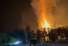 Kandang Terbakar di Katingan, Ribuan Ayam Mati Terpanggang