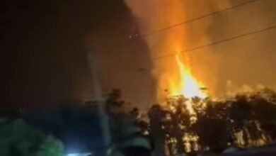 Kandang Terbakar di Katingan, Ribuan Ayam Mati Terpanggang
