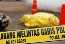 Saksi Kunci Kasus Ijazah Palsu Jokowi Alami Kecelakaan Misterius, Pemeriksaan di Polda Metro Jaya Geger!