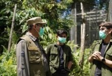 Pj Bupati Barito Utara Dukung Konservasi Lingkungan, Jalin Kerja Sama dengan Yayasan Kalaweit Pj Bupati Barito Utara Dukung Konservasi Lingkungan, Jalin Kerja Sama dengan Yayasan Kalaweit