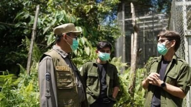 Pj Bupati Barito Utara Dukung Konservasi Lingkungan, Jalin Kerja Sama dengan Yayasan Kalaweit