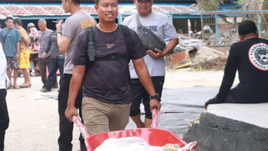 Polres Barito Utara Sembelih 17 Sapi Kurban, Warga Antusias Terima Daging
