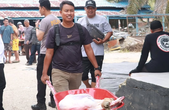 Polres Barito Utara Sembelih 17 Sapi Kurban, Warga Antusias Terima Daging