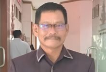Bantuan Alsintan Dorong Kapuas Jadi Sentra Padi Kalteng