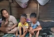 Tersesat di Hutan Mencari Kepiting, Dua Bocah Barito Utara Ditemukan Warga Pagi Hari