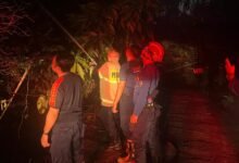 Kebakaran Lahan di Jalan Panti Ajar 2