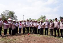 ATR/BPN Gencarkan PTSL Lewat Gerakan Masyarakat Pemasangan Tanda Batas
