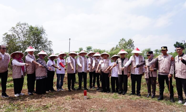 ATR/BPN Gencarkan PTSL Lewat Gerakan Masyarakat Pemasangan Tanda Batas ATR/BPN Gencarkan PTSL Lewat Gerakan Masyarakat Pemasangan Tanda Batas