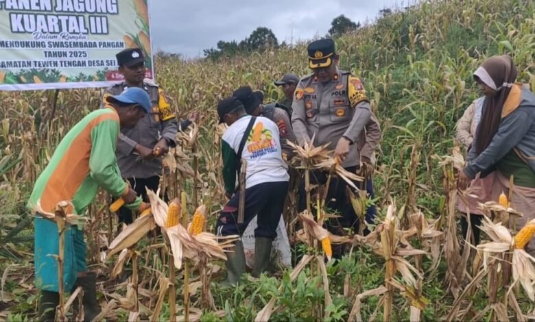 Polres Barito Utara Kawal Panen Jagung Tahap III di Desa Sei Rahayu I