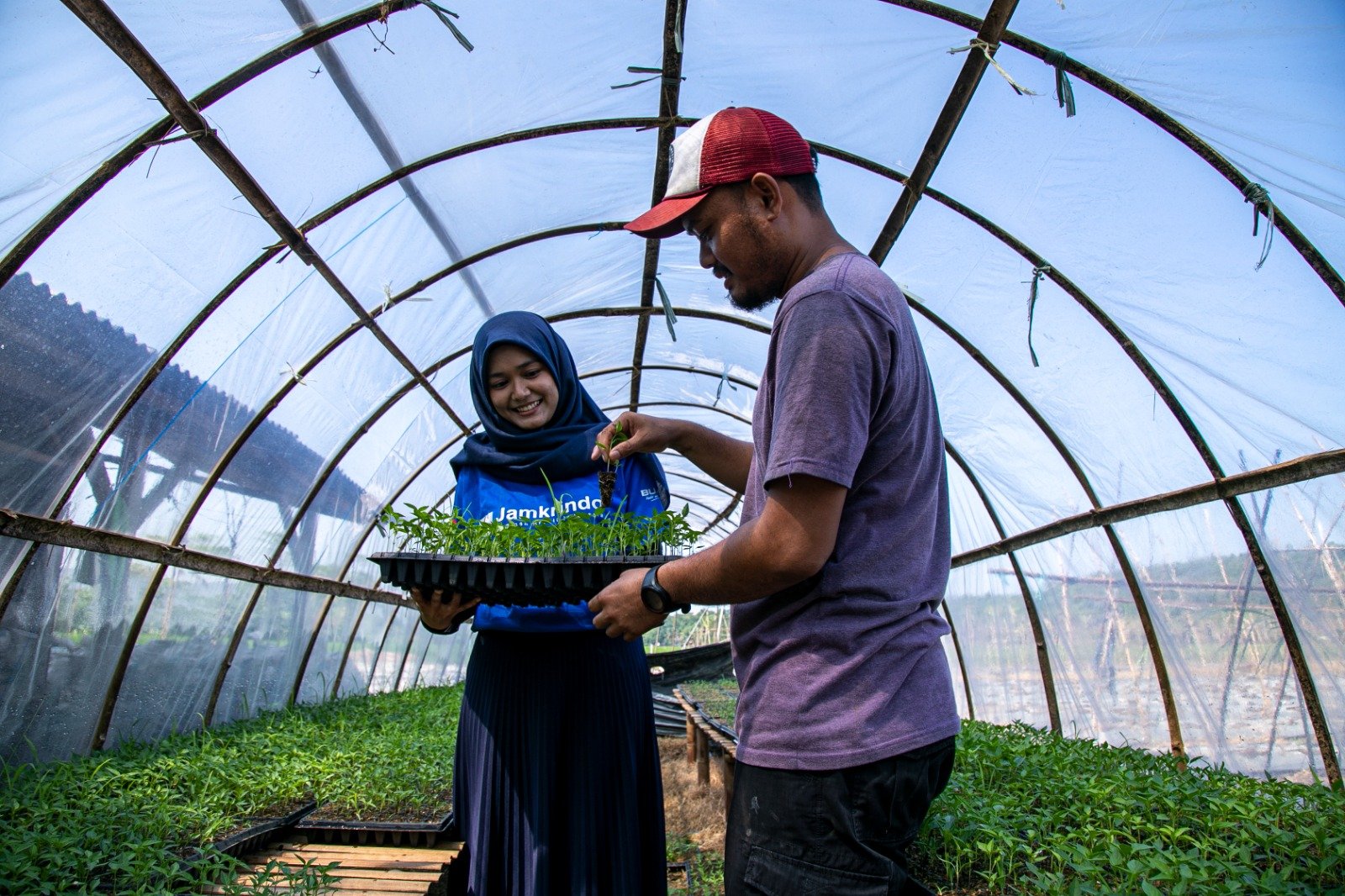Dorong Ketahanan Pangan, Jamkrindo Jamin Sektor Pertanian Rp 35,78 Triliun