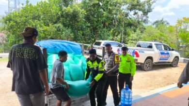 Polres Gunung Mas Panen Raya Jagung Serentak, Hasilkan 1,5 Ton