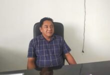 Optimalisasi PAD, DPRD Usulkan Tata Kelola Tambang Rakyat hingga BUMD
