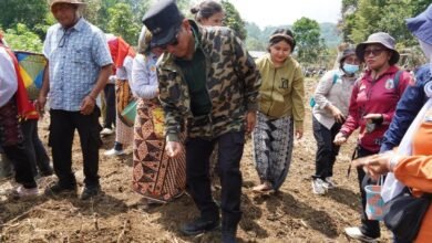 Bupati Murung Raya Hadiri Tanam Padi Gogo sebagai Upaya Peningkatan Ketahanan Pangan