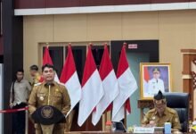 Rakor Optimalisasi PAD Perkebunan-Kehutanan, Bupati Genjot Pendapatan Daerah Rakor Optimalisasi PAD Perkebunan-Kehutanan, Bupati Genjot Pendapatan Daerah