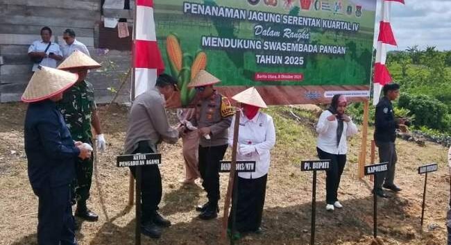 Wujud Sinergi Lintas Sektor, Tanam Jagung Serentak Dukung Swasembada Pangan