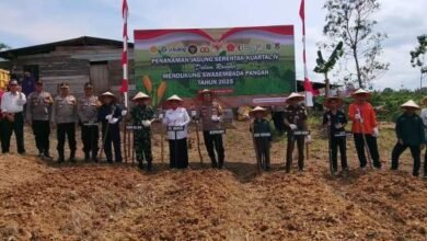 Dukung Swasembada Pangan, Polres Barito Utara Ajak Petani Tanam Jagung Serentak