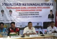 Pemkab Murung Raya Sinergi dengan PLN untuk Pemerataan Kelistrikan