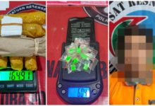 Polisi Sita Ganja dan Ekstasi dalam Penggerebekan Narkoba, Satu Tersangka Ditahan