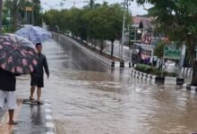 Banjir Sebabkan Bibit Ikan Lepas, Pemkab Barito Utara Cari Solusi Jangka Panjang Banjir Sebabkan Bibit Ikan Lepas, Pemkab Barito Utara Cari Solusi Jangka Panjang