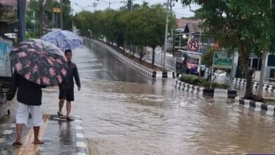 Banjir Sebabkan Bibit Ikan Lepas, Pemkab Barito Utara Cari Solusi Jangka Panjang