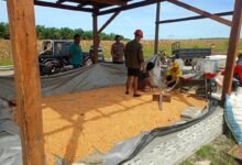 Hasil Panen Capai 4 Ton, Polsek Manuhing Pastikan Pengolahan Jagung Berjalan Optimal Hasil Panen Capai 4 Ton, Polsek Manuhing Pastikan Pengolahan Jagung Berjalan Optimal