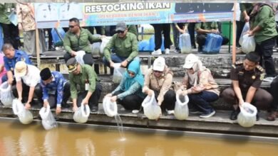 Peringatan Hari Pangan Sedunia: Ketahanan Pangan dan Perikanan Jadi Prioritas