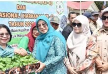 Shalahuddin Serahkan Bantuan Program 100 Hari Kerja ke Kelompok Nelayan dan Tani