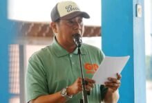 Ancaman Kerusakan Hutan, Bupati Serukan Jaga Kelestarian Lingkungan